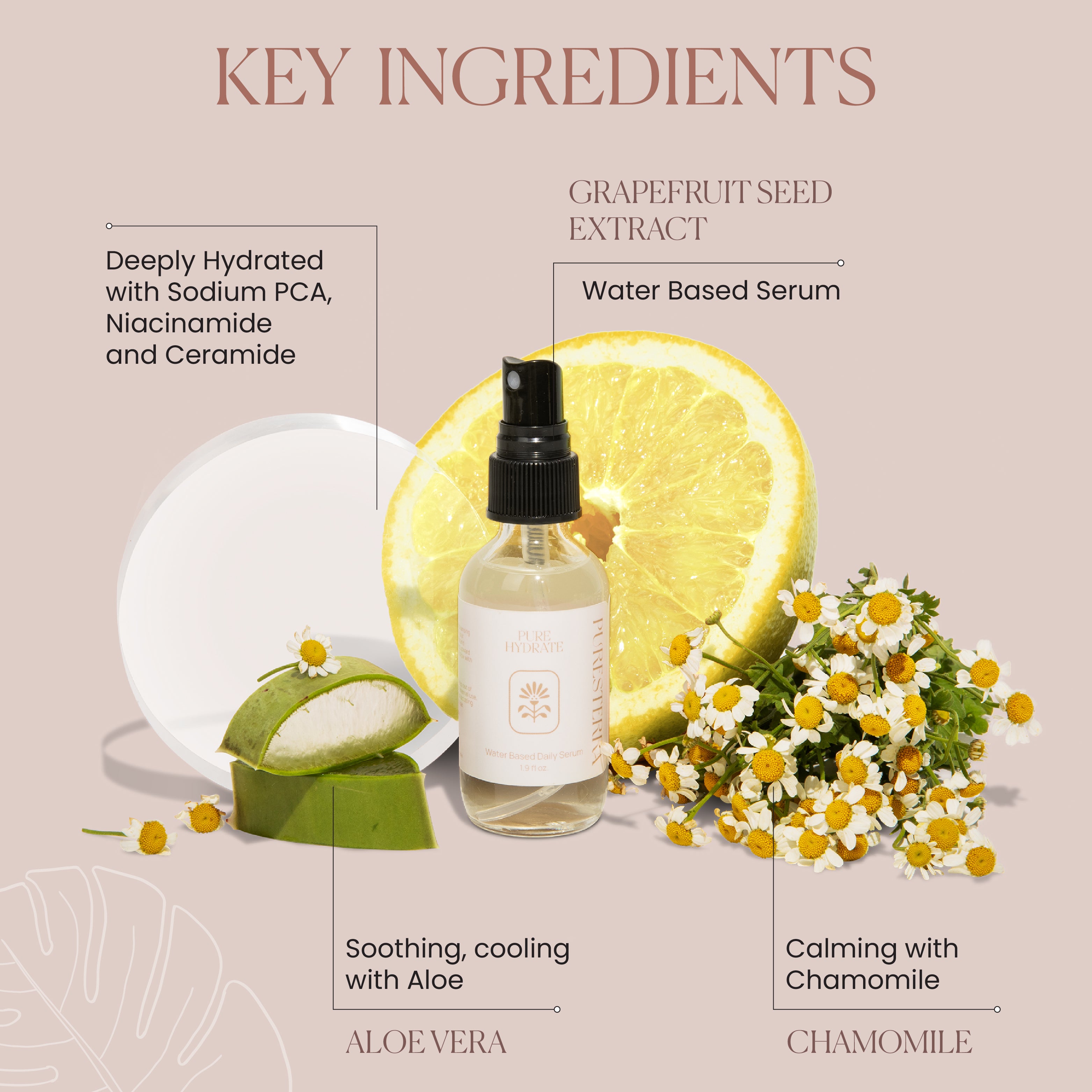 美容液 moisture deep serum 60ml BALANCE_HYALURONIC_SERUM_CARTO